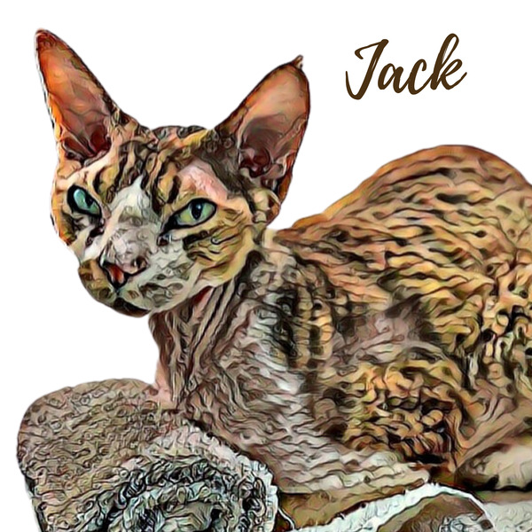 Meet Jack Print