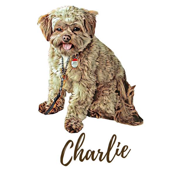 Charlie the Morkie Print