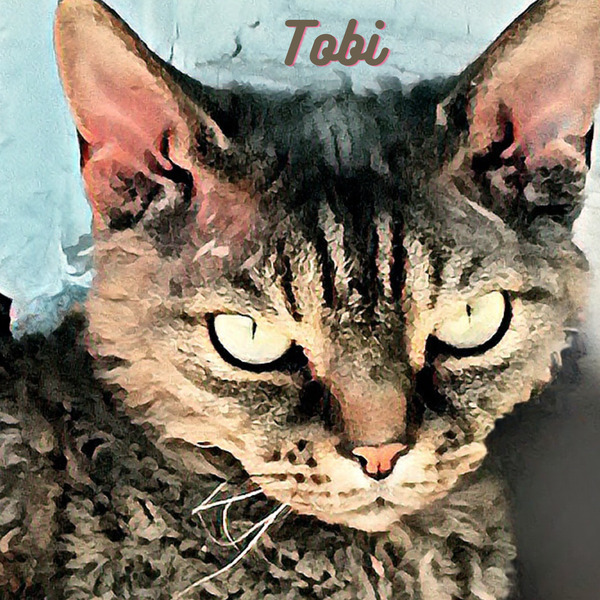 Tobi Love Print