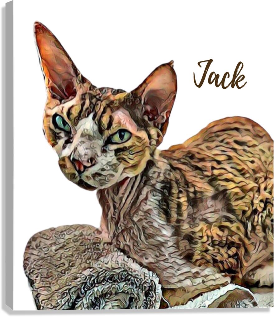 Meet Jack Canvas Print
