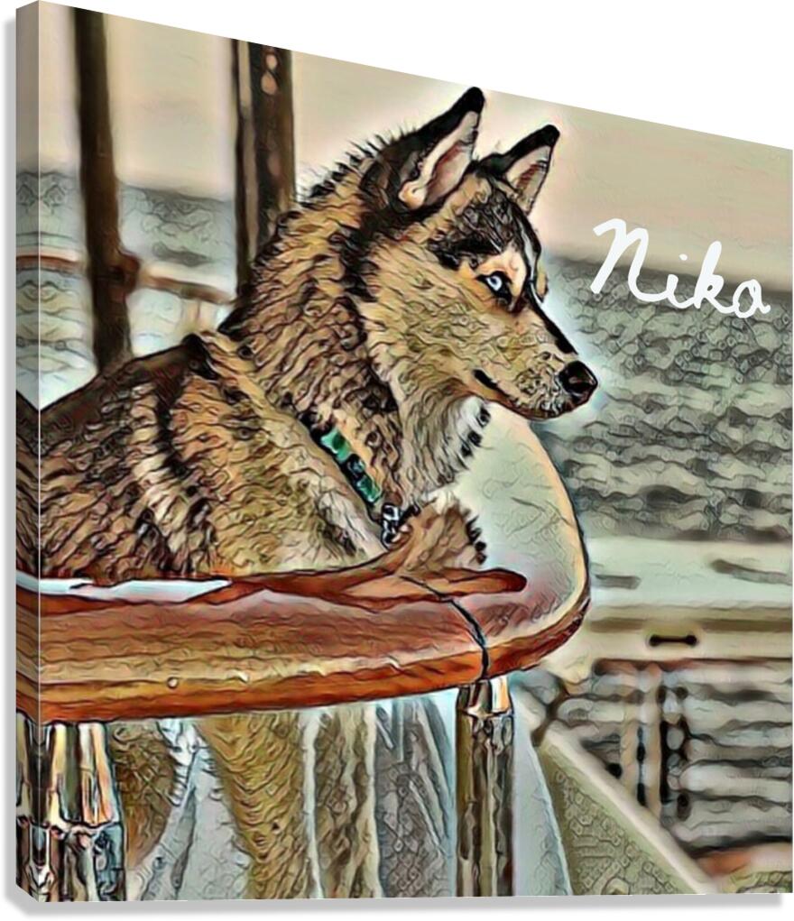 Niko Pomsky Canvas Print
