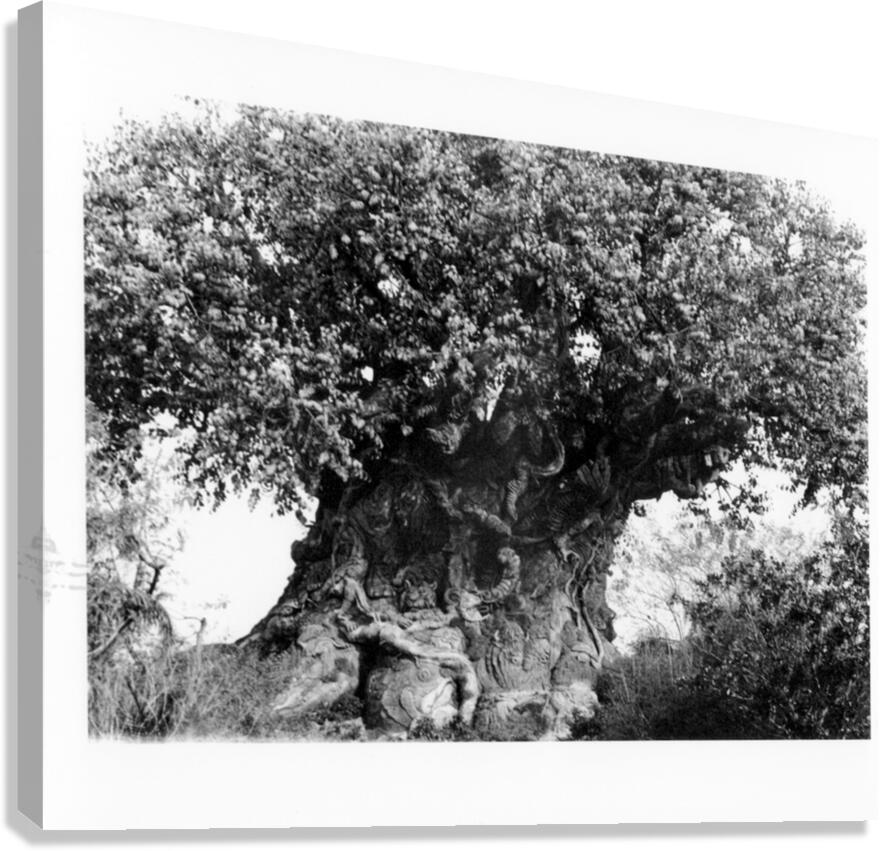 Tree Art Canvas Print