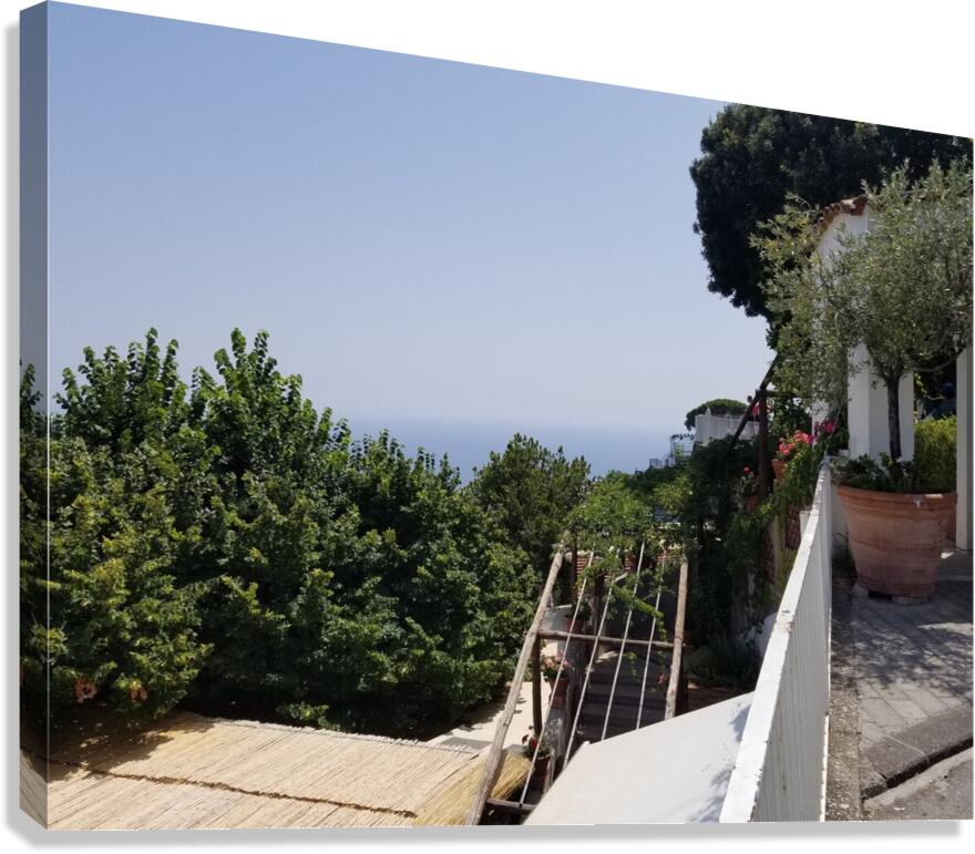 Life atop Positano Canvas Print