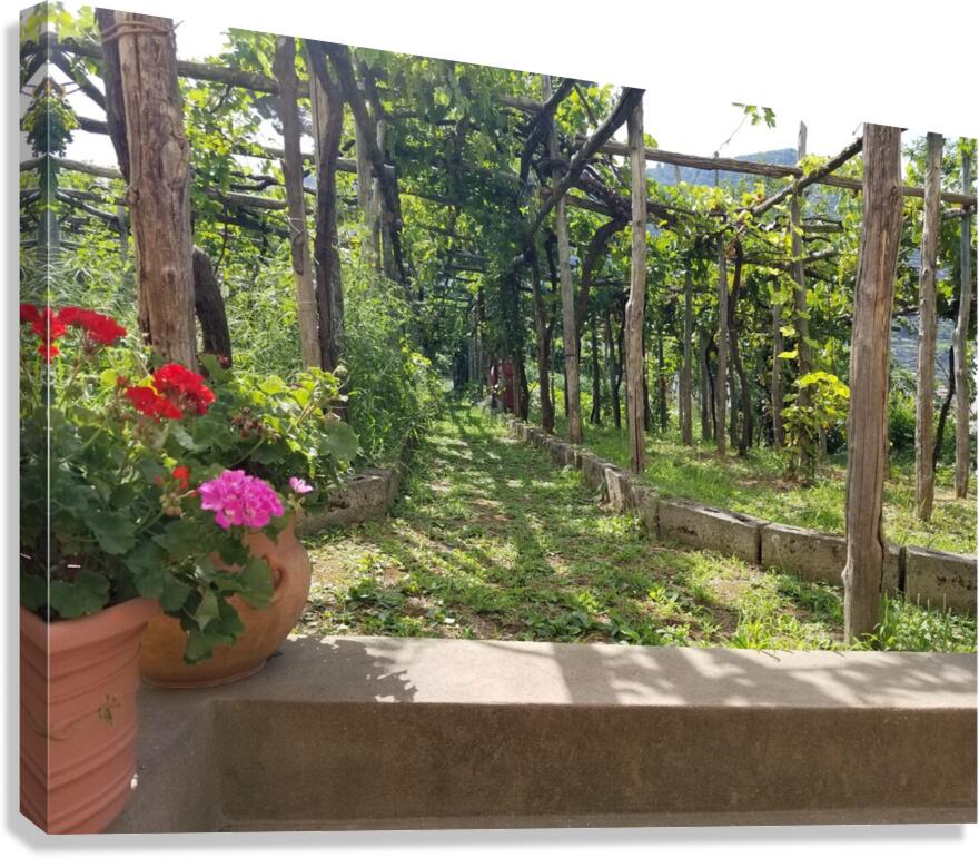 Capri Villas Canvas Print