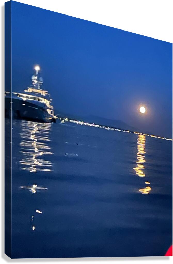 Sailing By A Full Moon Canvas Print