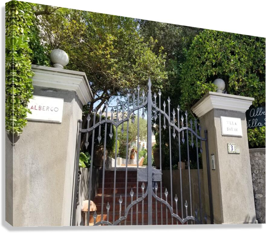 The Gates of Capri Series 3 Canvas Print