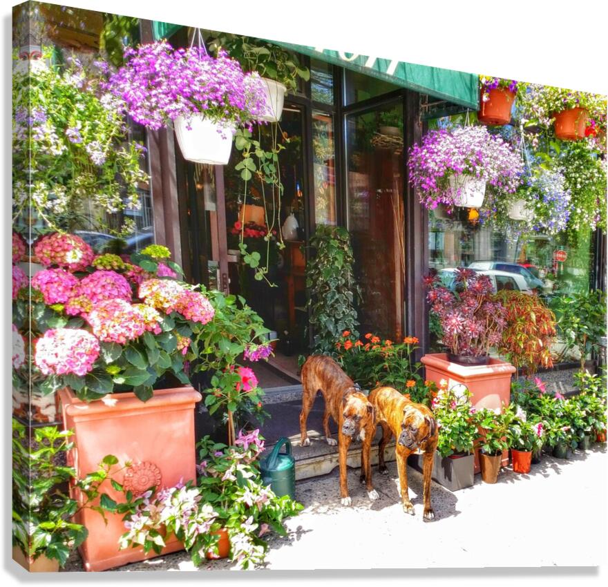 2 Dogs in the Flower Shop Canvas Print