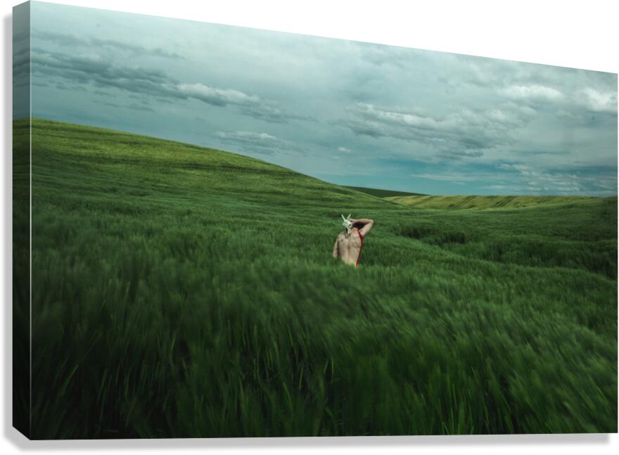 Woman In A Field Canvas Print