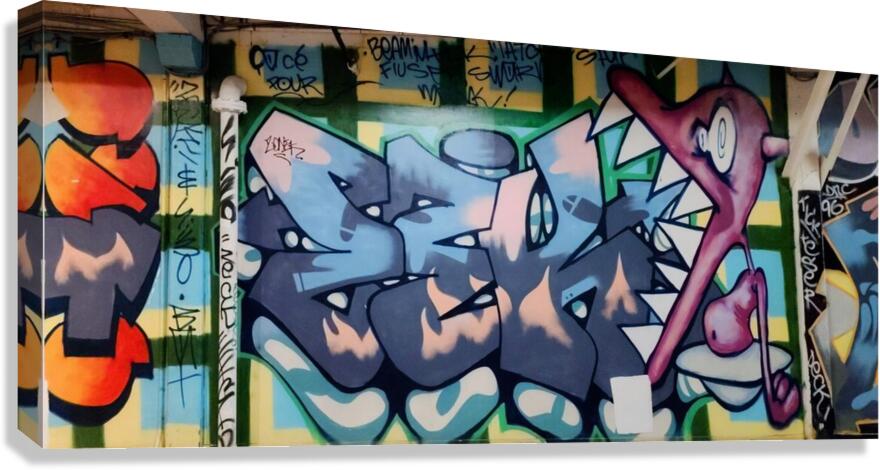 Graffiti Art Canvas Print