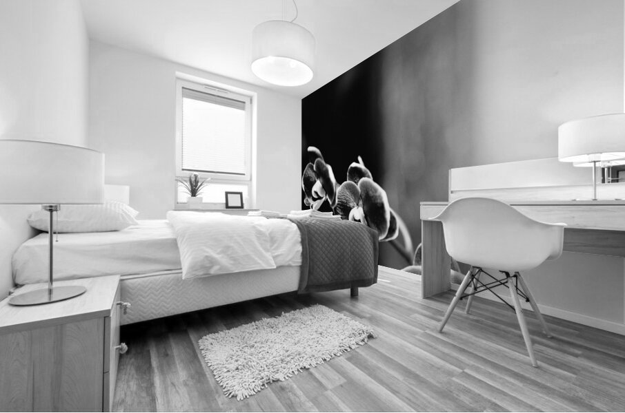 Black  White Floral Series 12 Mural print