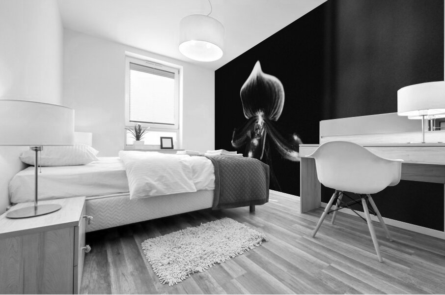 Black  White Floral Series 9 Mural print