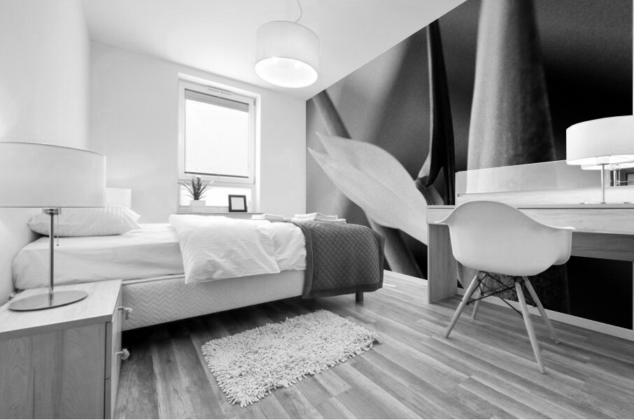 Black  White Bird of Paradise  Mural print