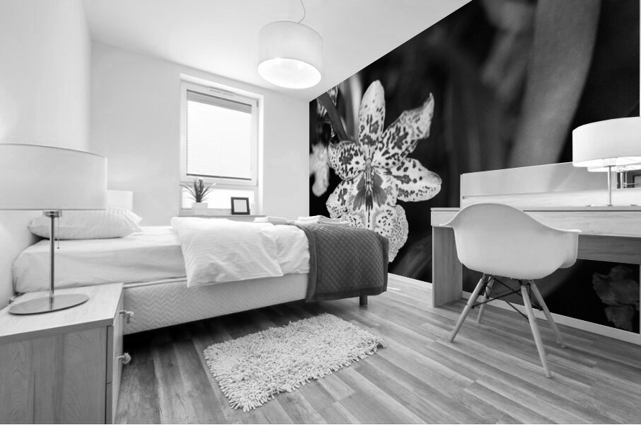 Black  White Floral Series 8 Mural print