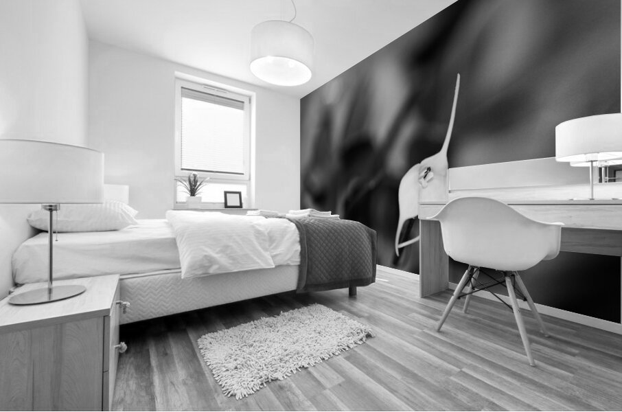 Black  White Floral Series 13 Mural print