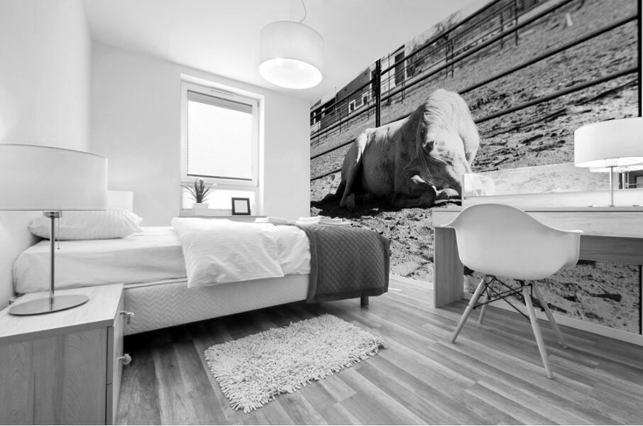 Magnificent Horse Pose 3 Mural print