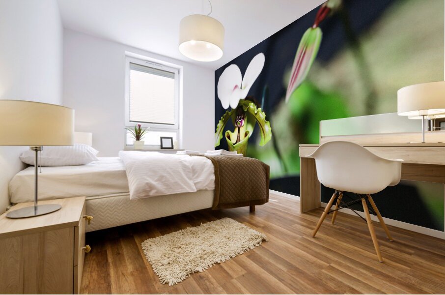 Green Orchid Mural print
