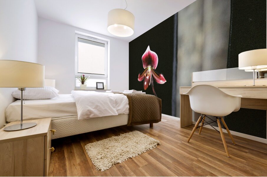Red Orchid 2 Mural print