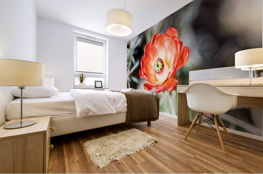 Red Cacti 2 Mural print