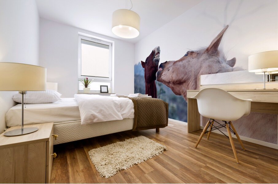 Horse Sparring 2 Mural print