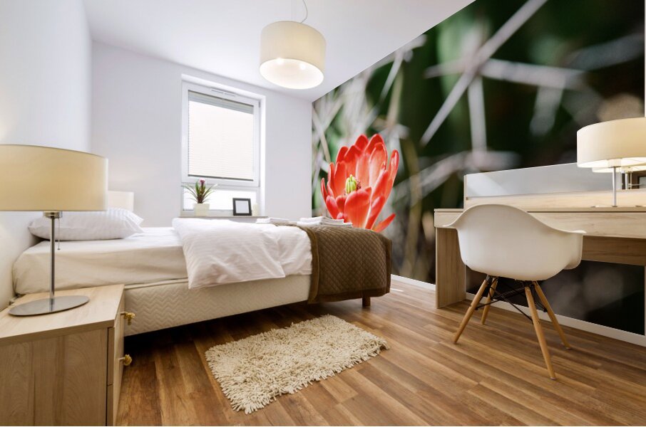 Red Cacti 3 Mural print