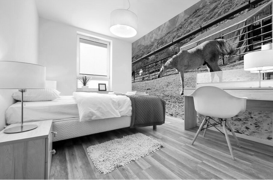 Horse Stretch Mural print