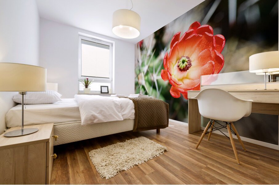 Red Cacti 5 Mural print