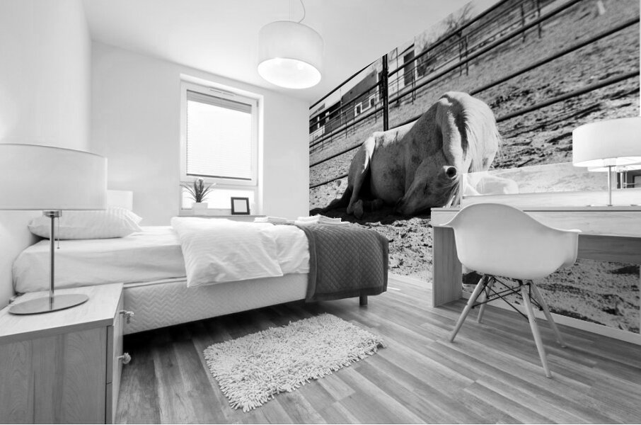 Magnificent Horse Pose 2 Mural print