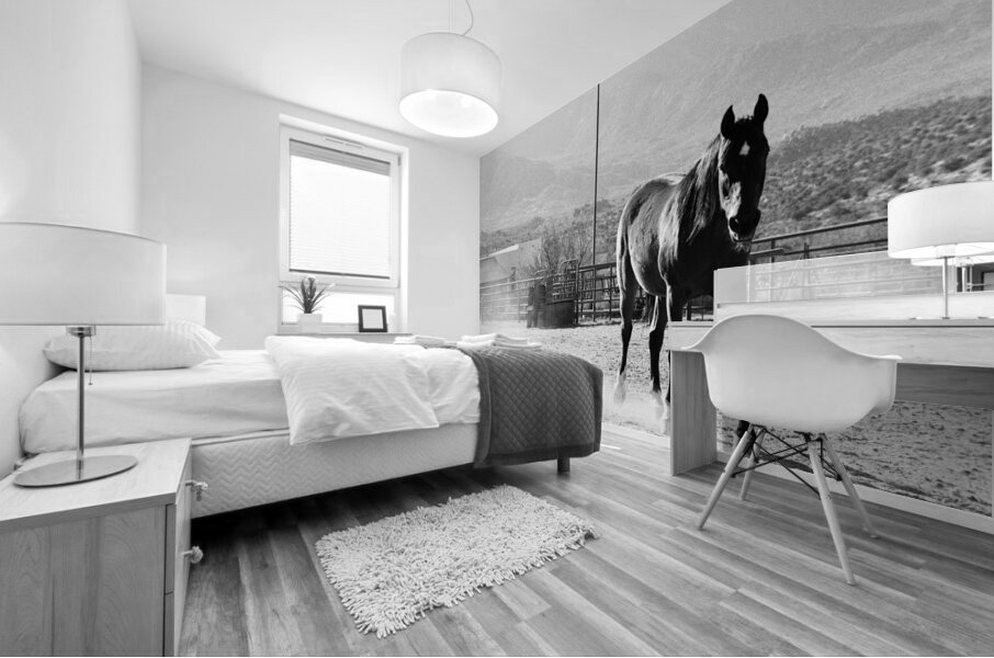 Black Horse Dust Mural print