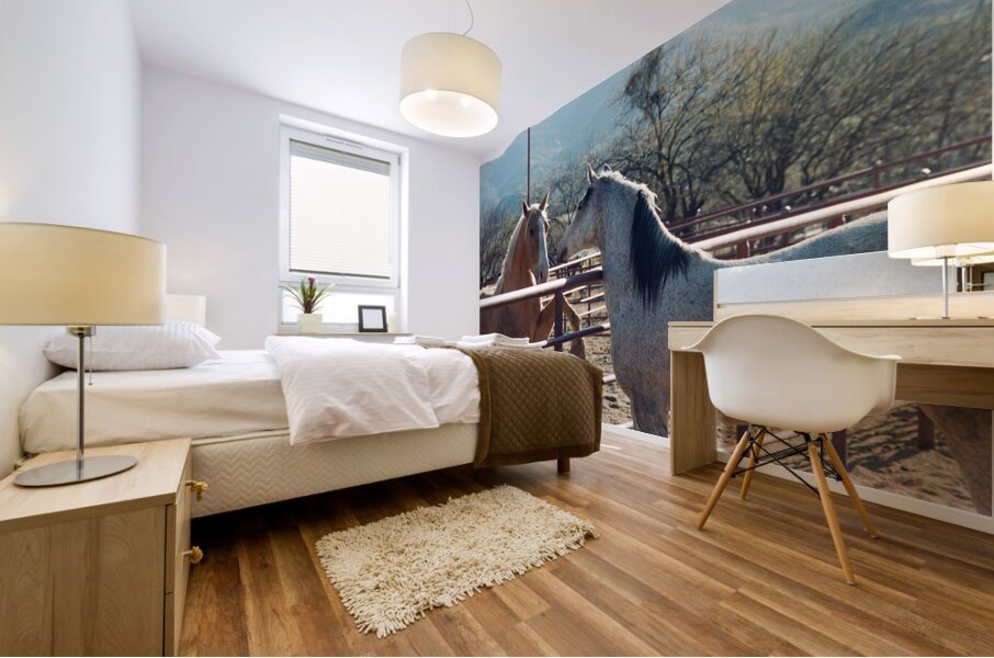 Horses connecting Mural print