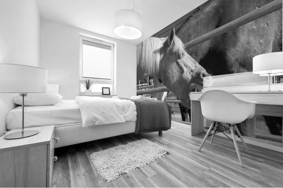 Horse Yawning Mural print