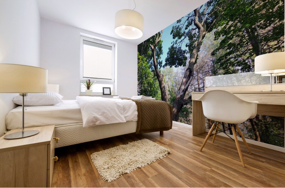 Forest Through The Trees Mural print