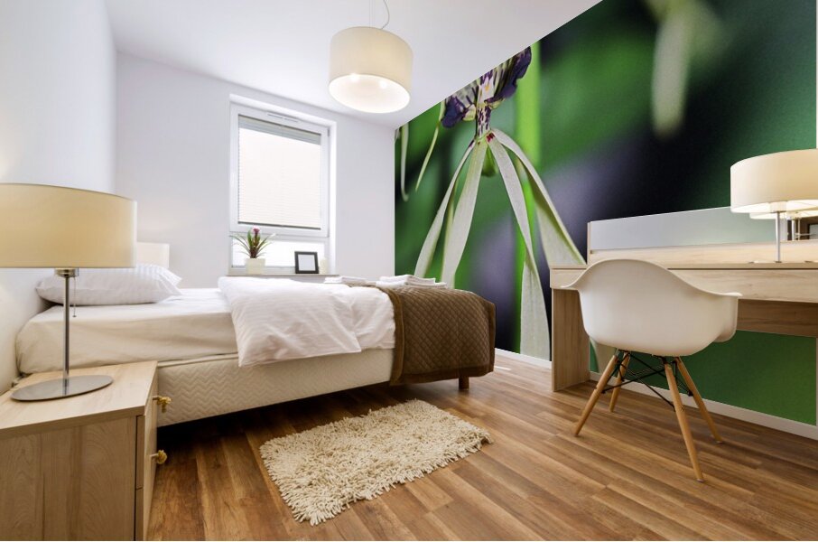 Dancing Orchid Mural print