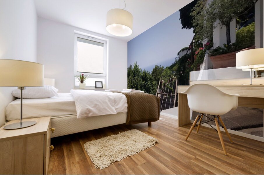 Life atop Positano Mural print