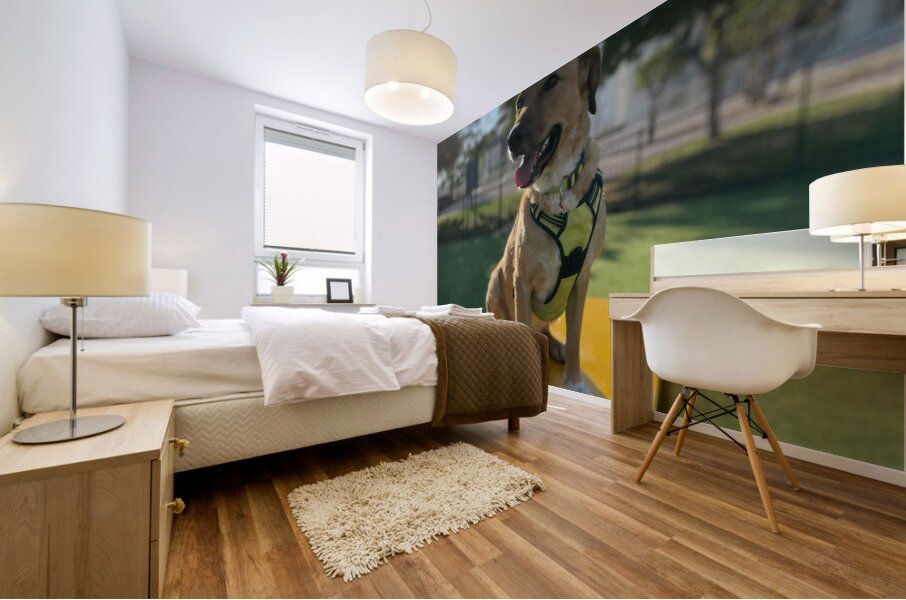 Rufus The Happy Dog Mural print