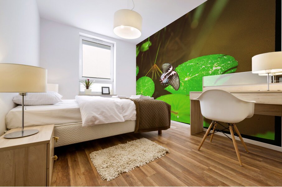 Butterfly Soars Mural print