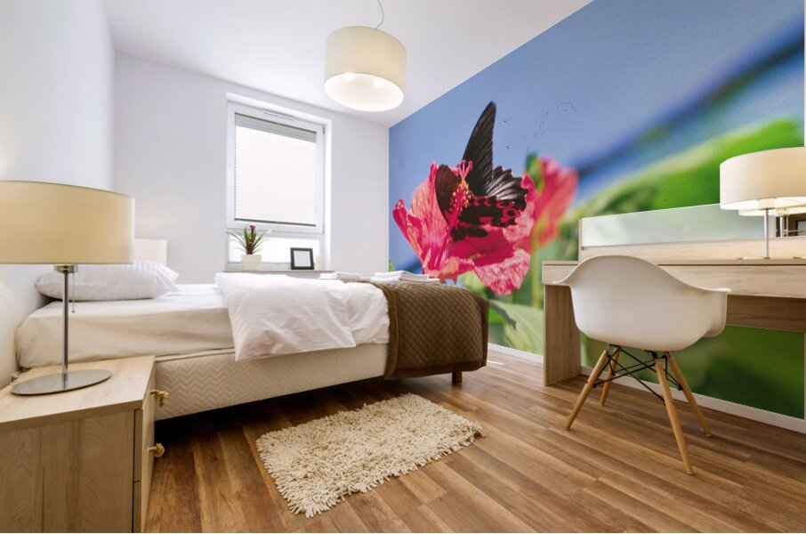 Butterflies Are Free  Mural print