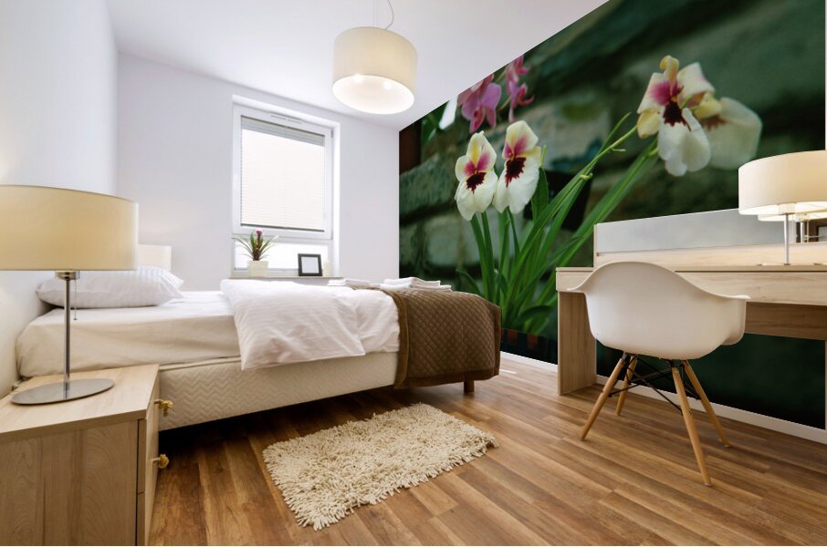 Twin Pansie Flowers Mural print