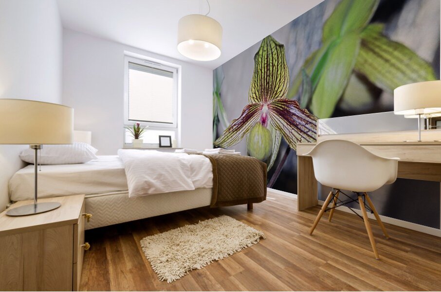Green Striped Orchid Mural print