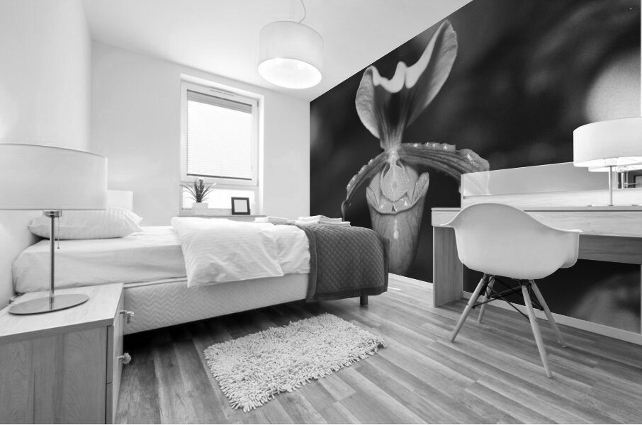 Black and White Orchid Series 2 Mural print
