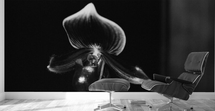 Black  White Floral Series 9 Wall Murals