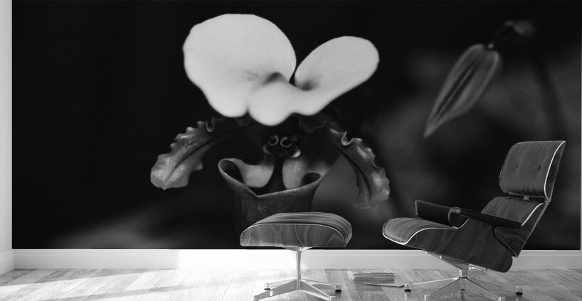 Black  White Floral Series 10 Wall Murals