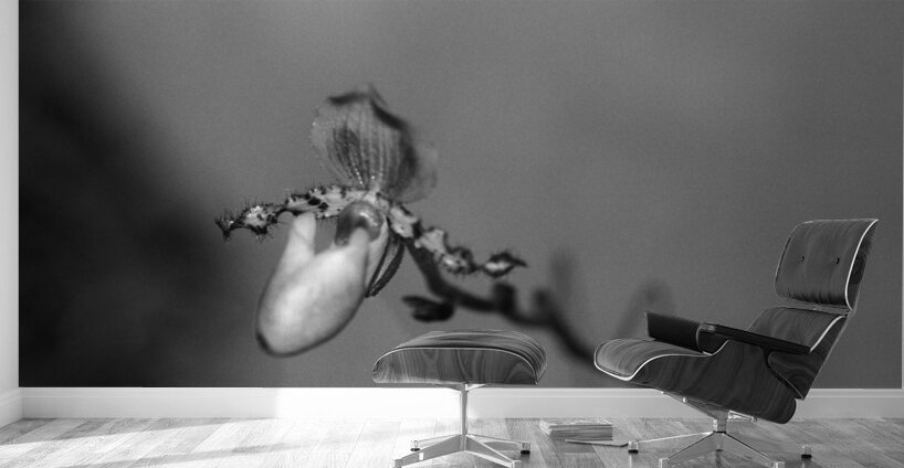 Black  White Floral Series 7 Wall Murals