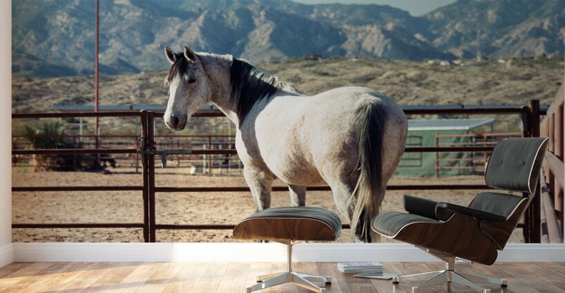 Horse and Mountains Wall Murals