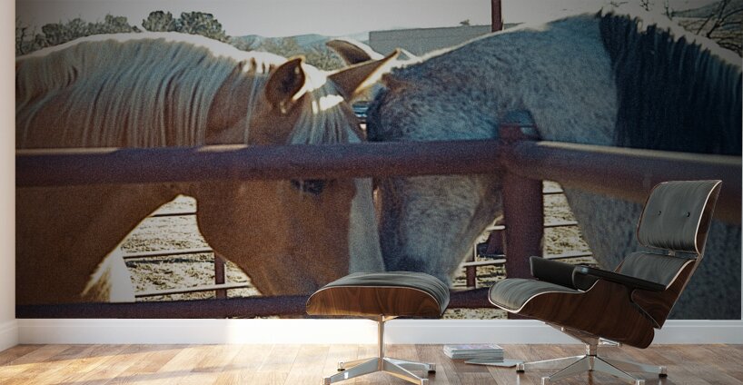 Horse Embrace  Wall Murals