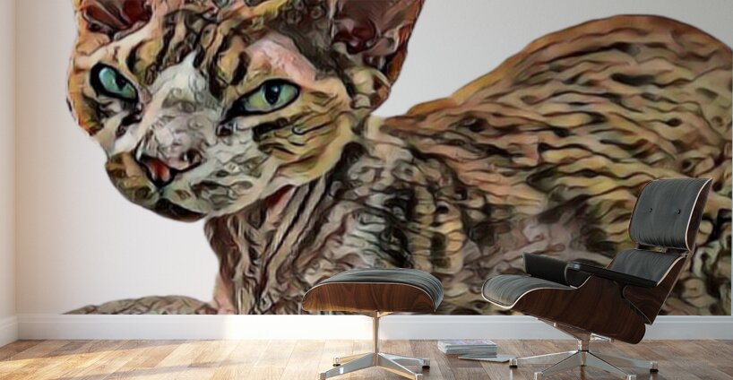 Meet Jack Wall Murals