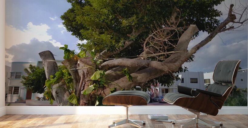 The Survivor Wall Murals