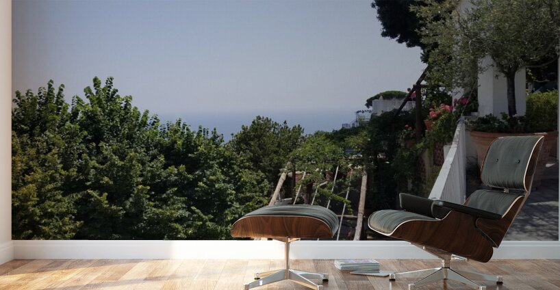 Life atop Positano Wall Murals