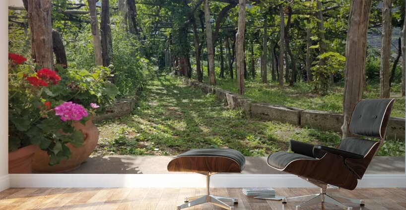 Capri Villas Wall Murals