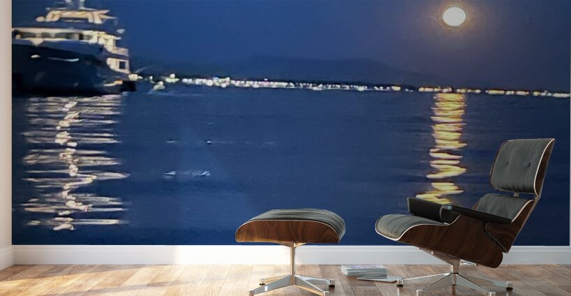 Sailing By A Full Moon Wall Murals
