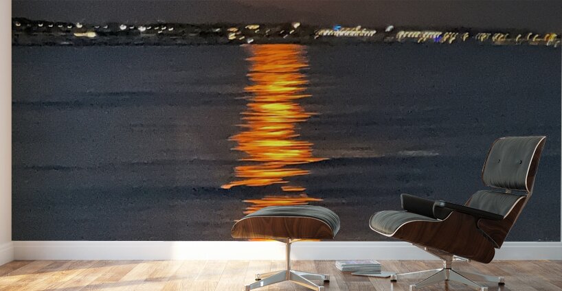 Full Moon At Sea Wall Murals